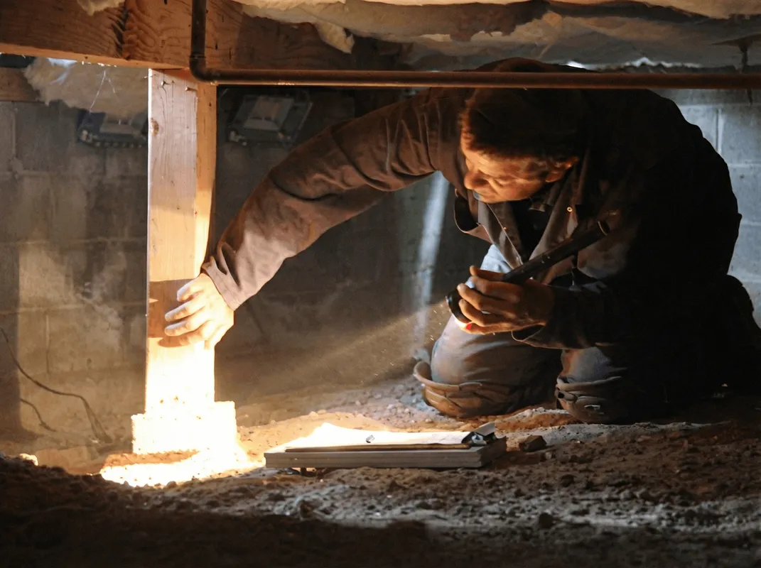 A professional inspecting wooden beams under the floor of a structure in Albany, NY